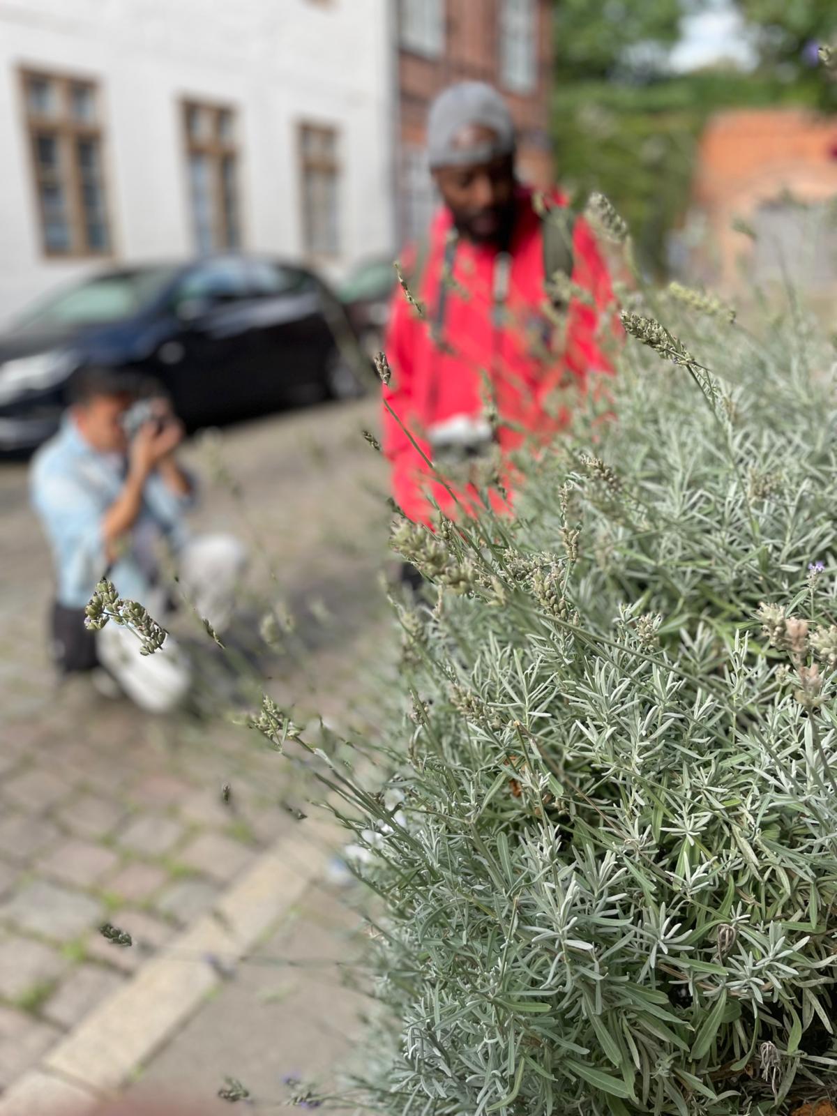Pflanzen im Vordergrund, dahinter fotografierende Workshopteilnehmende
