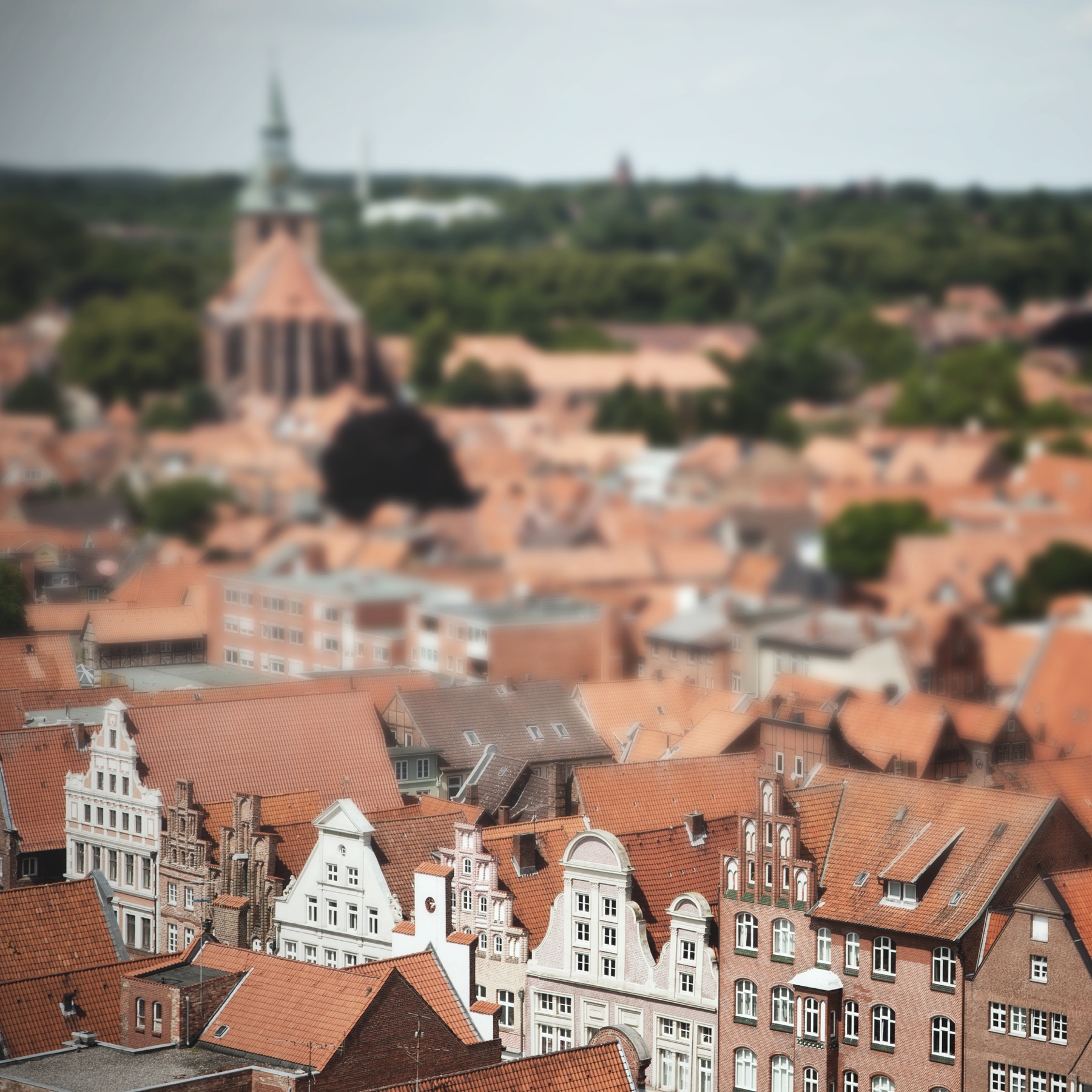 Lüneburger Landschafts- und Stadtmotiv