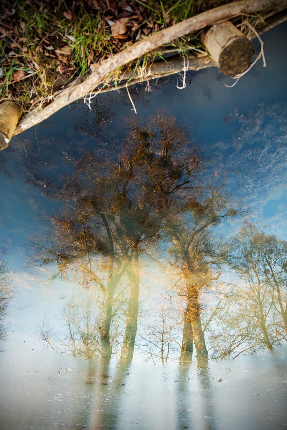 Reflexion und Schatten als Fotomotiv