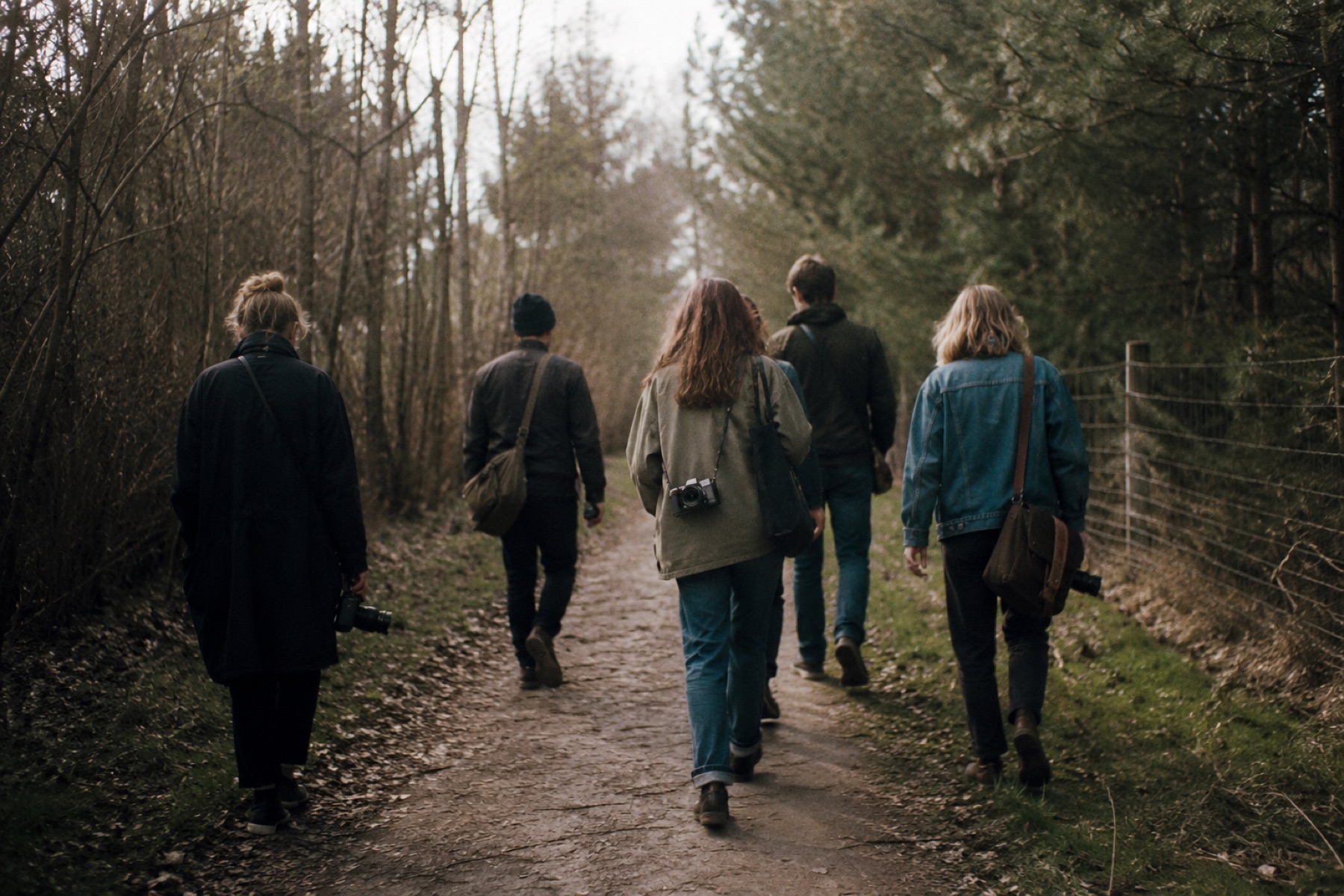 Eine kleine Gruppe geht mit Kameras ruhig durch einen Waldweg